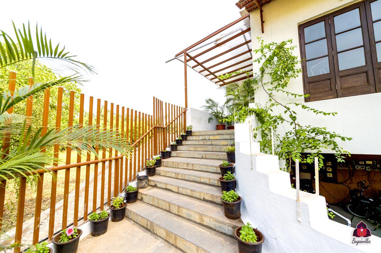 Bougainvillea Hotel Alībāg Eksteriør billede